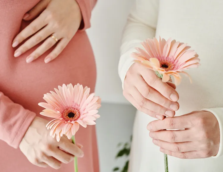 The Preggoland experience